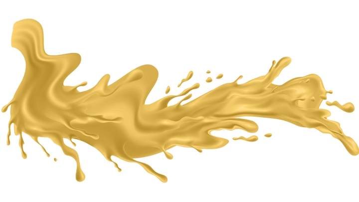Chicken Noodle Splash