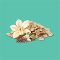 A flower of vanilla, chia seeds, sunflowers seeds, linseed and pumpkin seeds on a light blue background